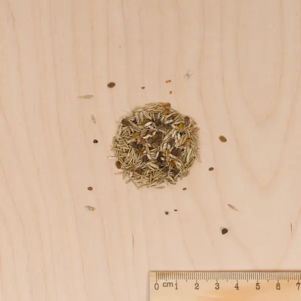 Fleuri - Pelouse Japonaise - Mélange de Fleurs - MEDIA_3D